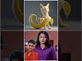 #cid#daya#abhijeet#purvi#sachin#shorrs#shortsvideo#shortsfeed#viral#ytshorts#viralvideo#trending
