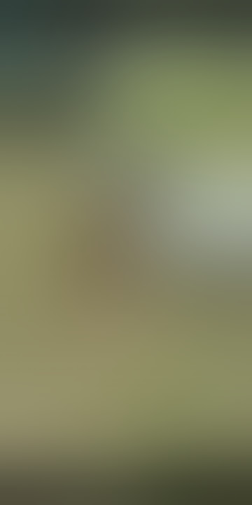 SAPI DISEMBELIH MASIH HIDUP | KEJADIAN ANEH & LANGKA