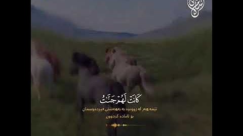 القارئ إسلام صبحي " قل لو كان البحر مدادا لكلمات ربي لنفذ البحر قبل ان تنفذ كلمت ربي