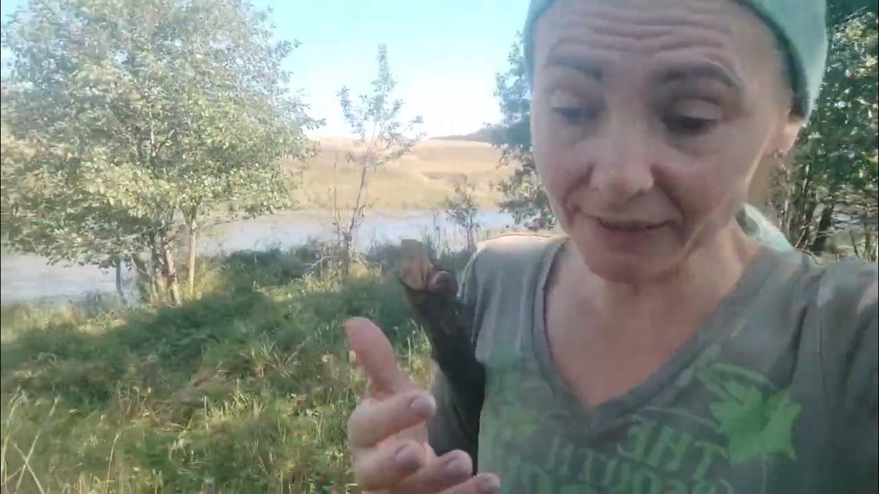 Зарезали козу.Как резать козла.Самый лучший способ забоя птиц - YouTube