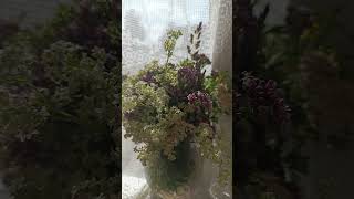 Букетик #beautiful #лесной #nature #природа #flowers #лето
