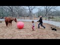 cold day, let&#39;s play horse soccer