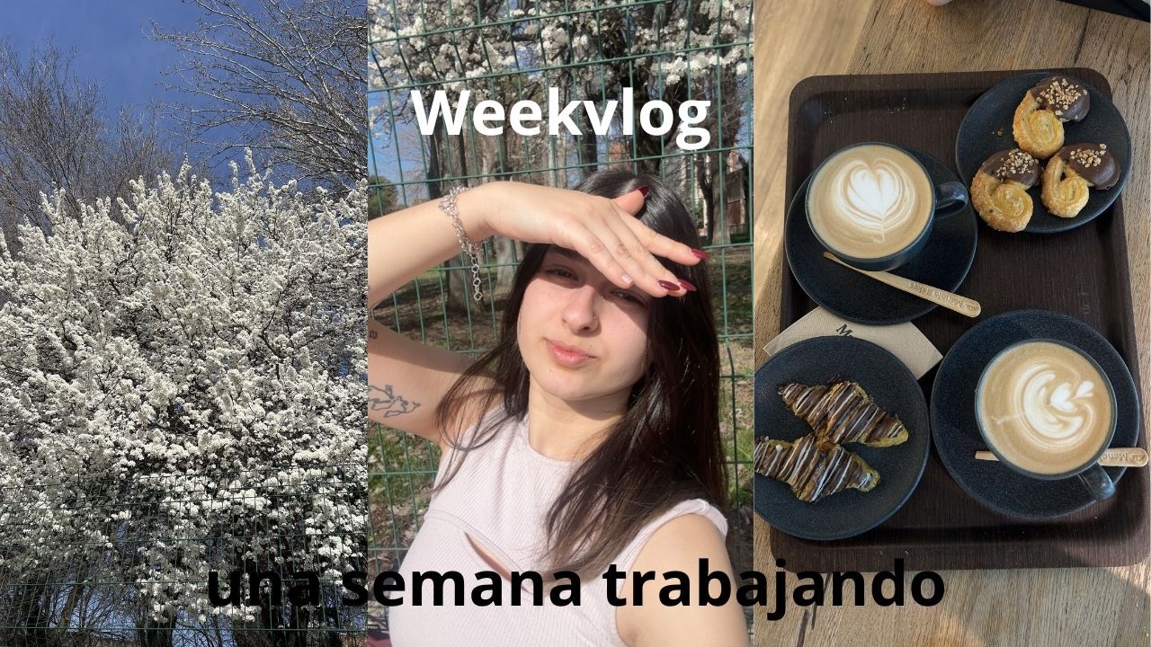 WEEKVLOG | Una semana trabajando, hablamos y nos organizamos🖼️😣🍵