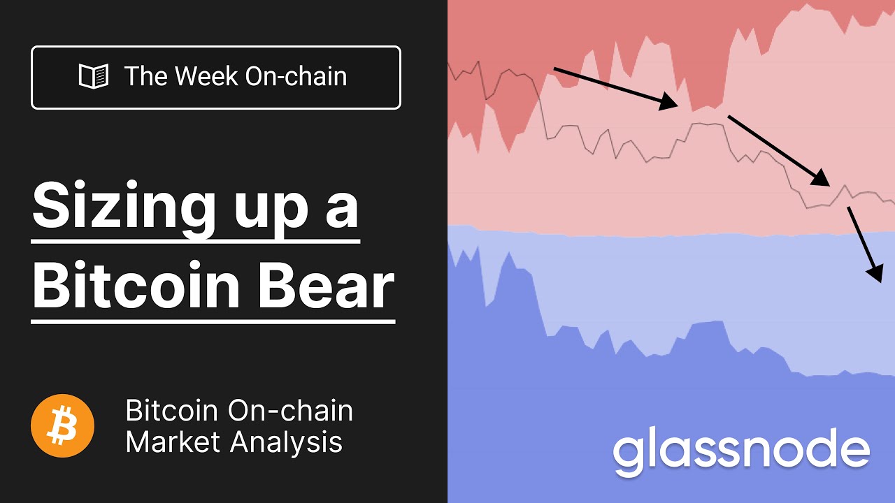 The Week On-chain: Sizing Up a Bitcoin Bear - Week 4, 2022 (Bitcoin Onchain  Analysis)