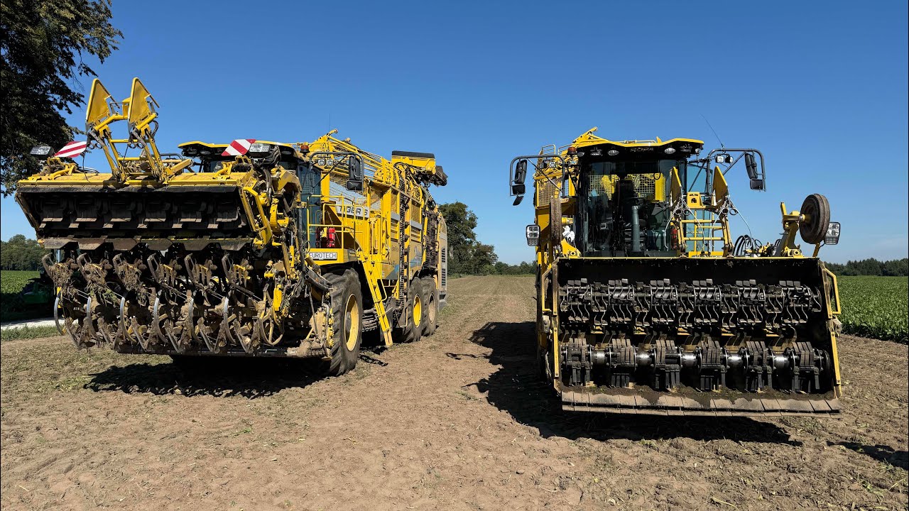#871- Wielki zbiór buraków! Dwie nowe Ropy Tiger 6S na polu! Gruba akcja! Kampania 2025!