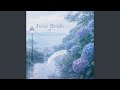 Umbrella Flow / 傘の流れ