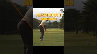 Adam Scott - Shallow Dive Golf Swing