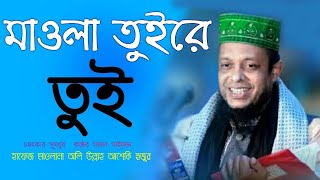 মাওলা তুইরে তুই আওয়ালে আখিরে মাওলা তুইরে তুই | বাংলা গজল | itv Dhaka