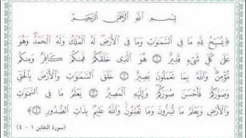 سورة التغابن (1-4)
