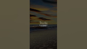 الله لطيف بعباده يرزق من يشاء || سعد اوزيت || سورة الشورى