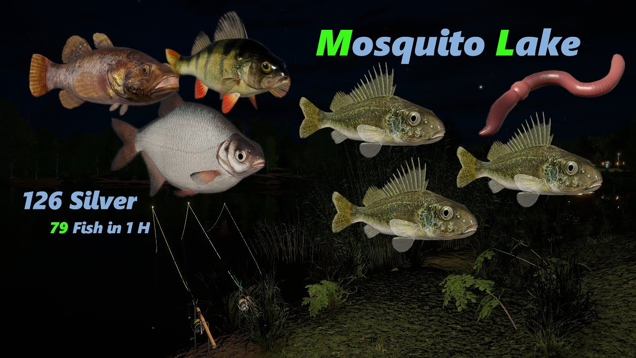 Mosquito lake Komarówka jazgarz ruffe okoń perch Russian Fishing 4 RF4 YouTube