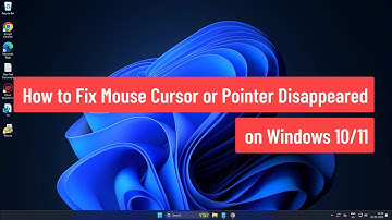 How to Fix Mouse Cursor or Pointer Disappeared on Windows 10/11 (2025)