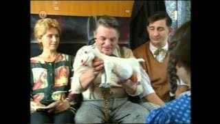 Bud Bindi - Kozička