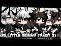 Our little bunny  part 3 gacha life mini movie glmm love story 