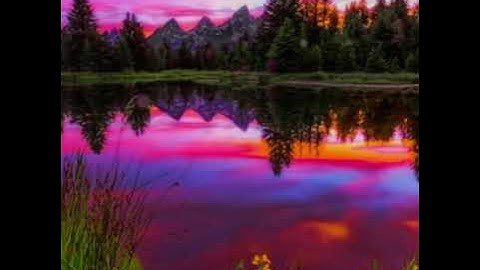 سورة النبأ بصوت القارئ زيد عبد الحق