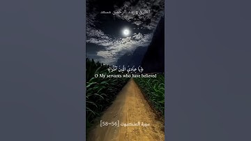 يَا عِبَادِيَ الَّذِينَ آَمَنُوا إِنَّ أَرْضِي وَاسِعَةٌ | سورة العنكبوت|القارئ عبد الرحمـٰن مسعد