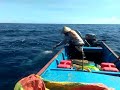 Mancing tuna di morotai