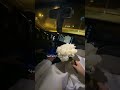 ابنساكم نبيل شعيل عبدالمجيد عبدالله زفات بالاسماء
