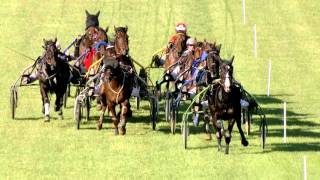 Vidéo de la course PMU PRIX DE CLUNY