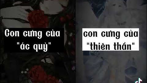 top 12 cung hoàng đạo là con cưng của thiên thấn và ác quỷ