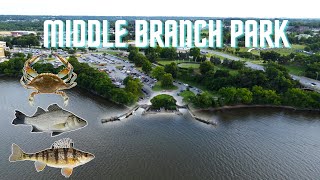 Fishing Middle Branch Park | Patapsco River MD (White Perch, Blue Crab, Yellow Perch)