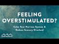 Feeling Overstimulated? Calm Your Nervous System & Reduce Sensory Overload