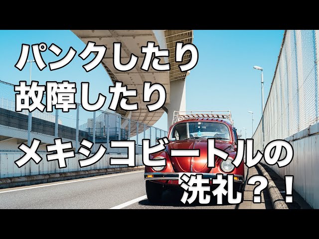 メキシコビートルの洗礼！？ まさかのパンクだったり、アレやコレや