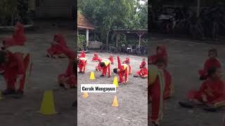 Apa itu Gerak dasar Mengayun