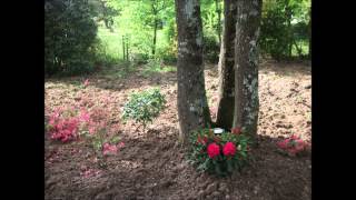 Paysagiste Aménagement Paysager