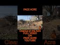 Clean up on Acre #paceacre#homestead #cleaning #chainsawman #fypシ