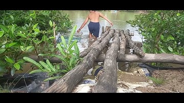 Đặt lú kiếm cá ngát || bất ngờ sáng hôm sau