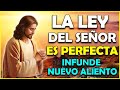 🍀Oración De La Mañana De Hoy Martes 29 De Noviembre | La Ley Del Señor Es Perfecta