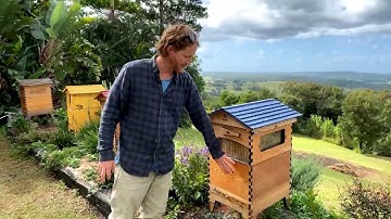 Beginner beekeeping Q&A with Cedar Anderson 🐝🌻🐝
