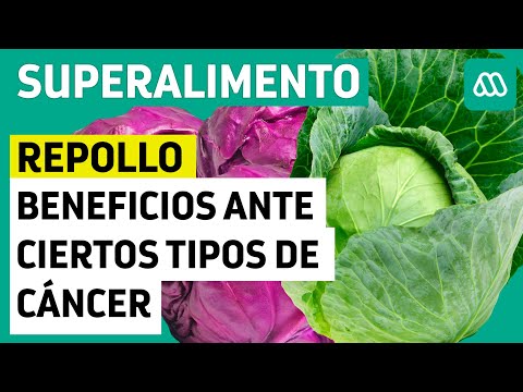 Beneficios del repollo ante ciertos tipos de cáncer