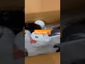 Unboxing of Magic car Panda🚗 #shortsfeed #shorts #ytshorts