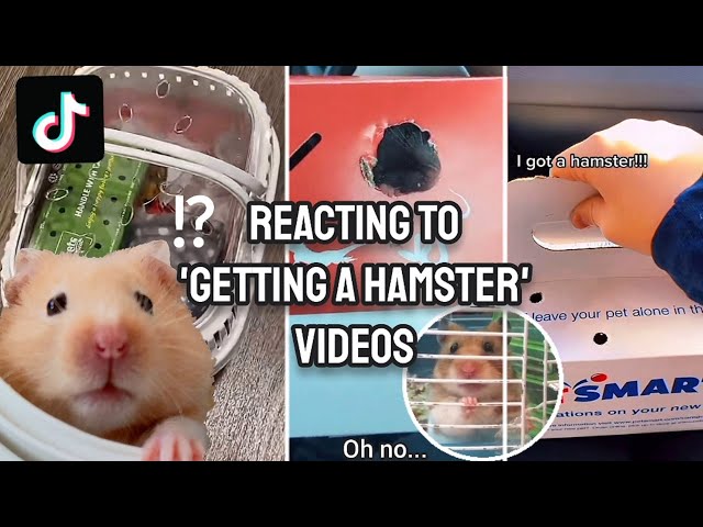 what does kicked the bucket mean hamster｜TikTok Search