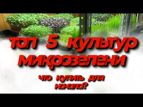 Топ 5 культур