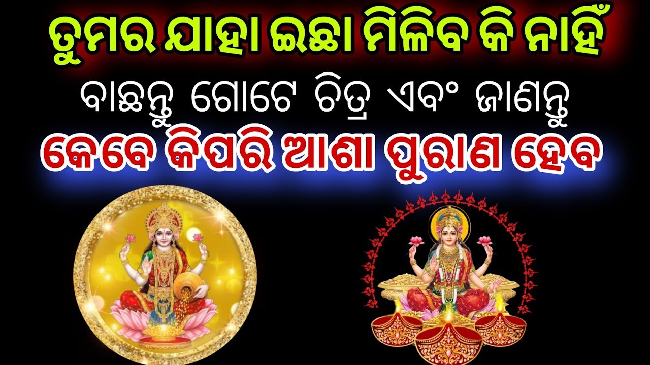 Pick a card Odia 🧿odia astrology 📌 Odia Tarot card reading