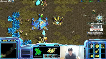 [11.5.22] SC:R 1v1 (FPVOD) SnOw (P) vs (P) Eclipse