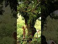 The Art of Pure Nature: Exclusive Birding &amp; Luxury Art at Drake Bay River View
