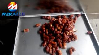 Dry dates pitting machine