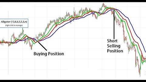 Alligator + Fractal Indicator  Trading Strategy || 100% Win Rate