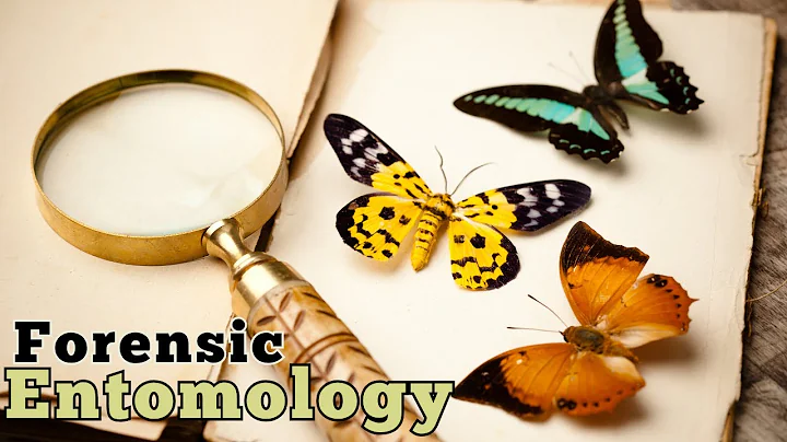 How Insects Help Solve Crimes: The Role of Forensic Entomology