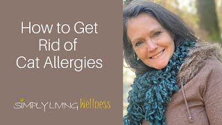 How to Get Rid of Cat Allergies Permanently