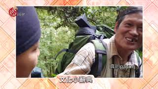 行走的植物百科! 流傳千年的原民山林智慧 2020-11-23 Atayal IPCF-TITV 原文會 原視族語新聞
