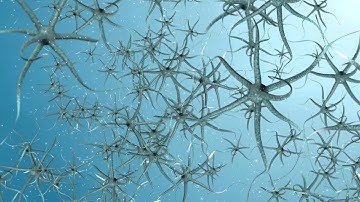 Russell Poldrack - The Unknown Brain