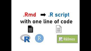 How to Convert Rmd file to R script with one line of code