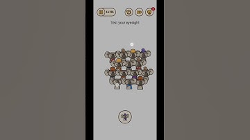 Brain Find Level 96 | Flare Games XT