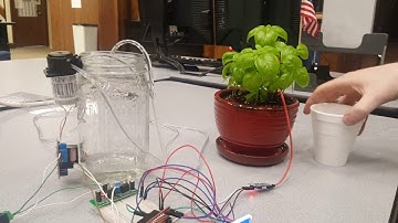 Automatic Plant Watering Device with MSP430
