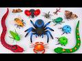 [toy asmr] ZURU Robo Alive Remote Control Spider &amp; Robotic Insect Toys ASMR✨No talking🔇